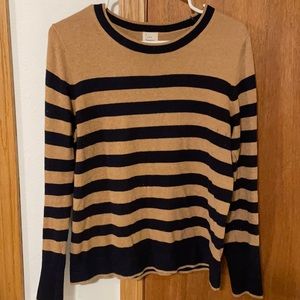 Brown and navy striped sweater from target.